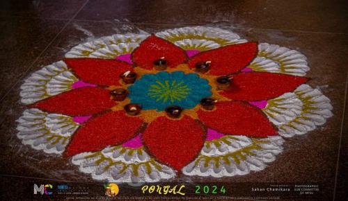  Thaipongal Celebration 2024